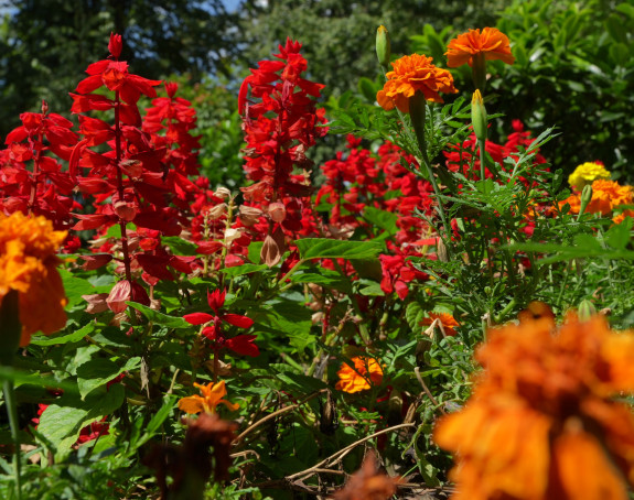 Pretežno sunčano i toplo vrijeme, temperatura do 24°C