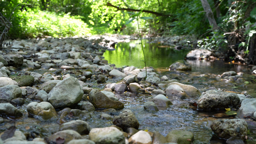 Sunčano i toplo, uveče naoblačenje od juga i zapada