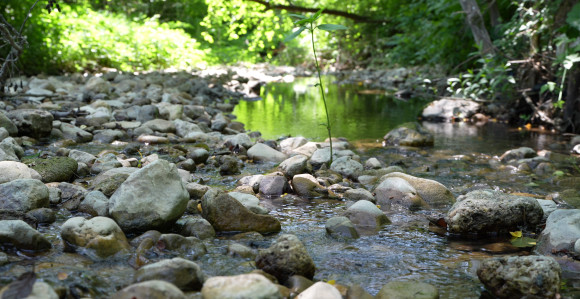 Sunčano i toplo, uveče naoblačenje od juga i zapada