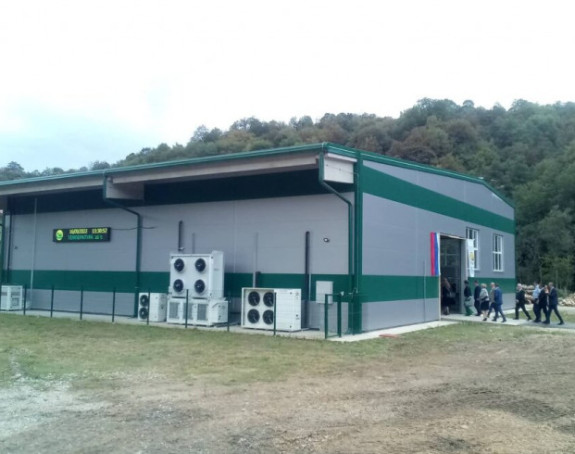 Još jedan biser iz "Šuma RS": Uložili 900.000 KM u fabriku za preradu gljiva, koja nikad nije proradila
