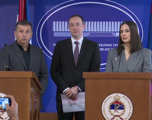 Nema rasprave u NSRS o Vijaduktu, Serdarovu..