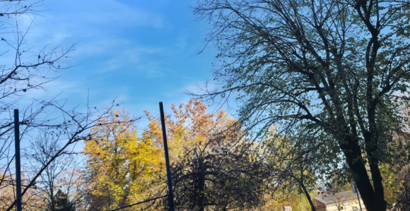 Sunčano vrijeme, temperatura do 20 stepeni