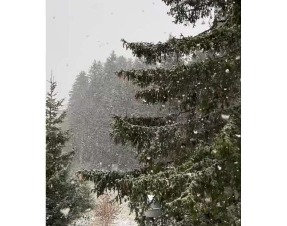 U Srbiji pada snijeg, padavine moguće i kod nas