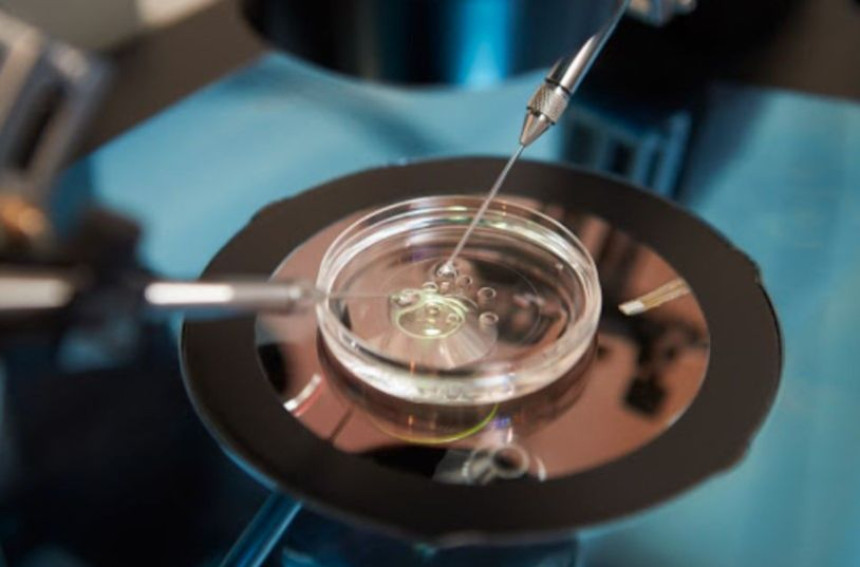 Zatvorena klinika za vantjelesnu oplodnju, parovi u strahu