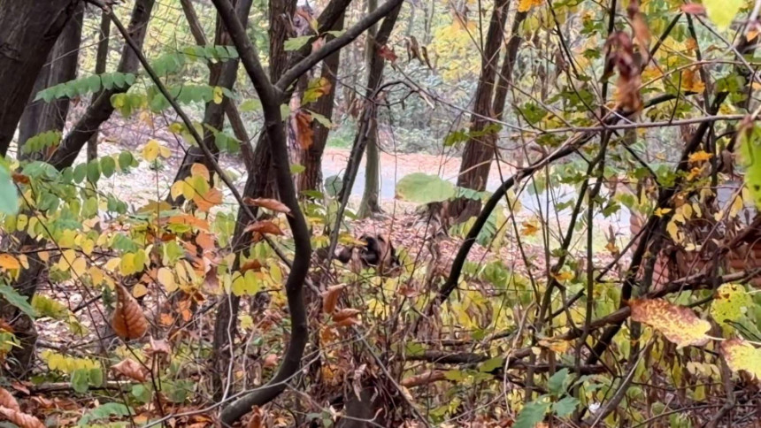 Danas vedrije i toplije nego prethodnih dana