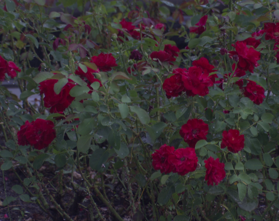 Danas sunčano i toplo, uz postepeno naoblačenje