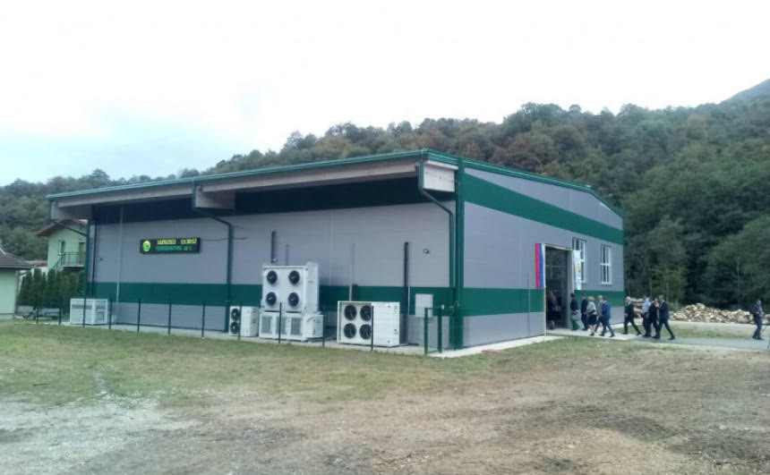 Fabrika ne radi, berači gljiva na platnom spisku Šuma