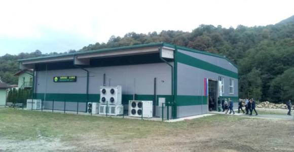 Fabrika ne radi, berači gljiva na platnom spisku Šuma