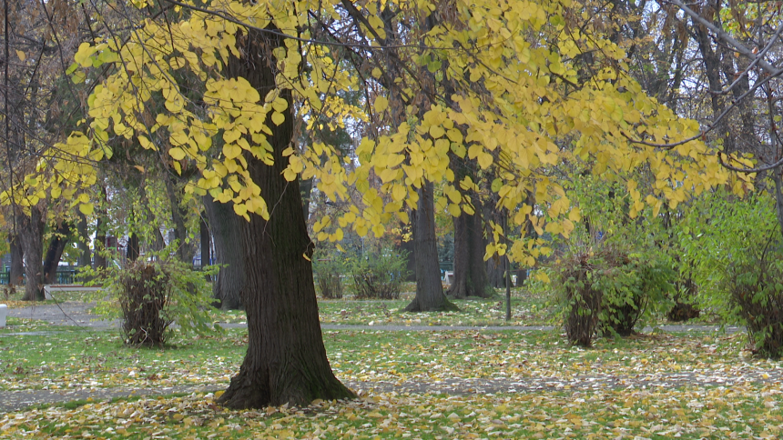 Danas hladno, povremeno sa padavinama, do 13 °C