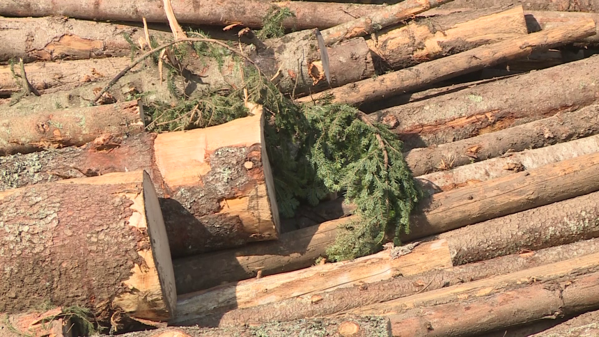 Радници у ШГ "Чемерница" ступили у штрајк упозорења