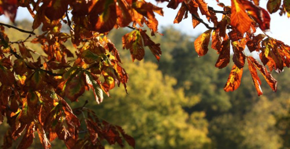 Sunčanije i toplije, uz temperaturu do 17 stepeni