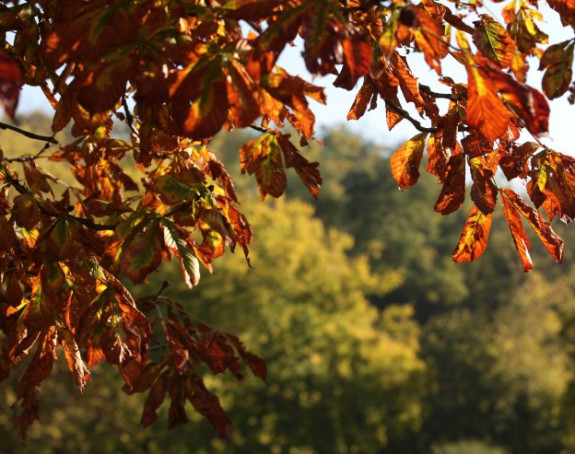Sunčanije i toplije, uz temperaturu do 17 stepeni