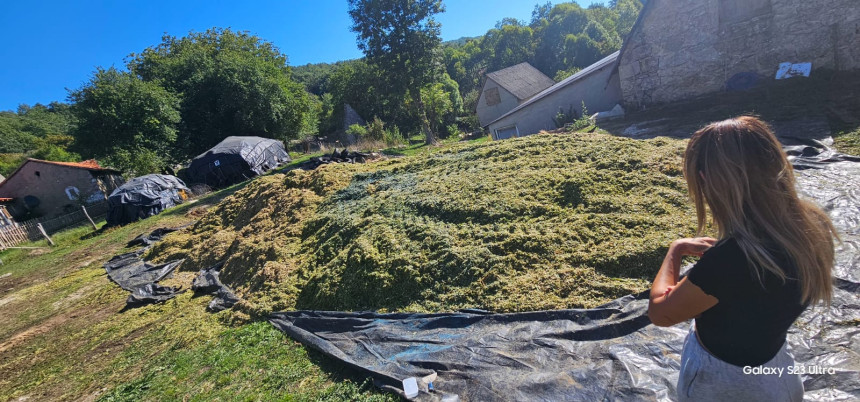 Nevesinje: Ko je dva puta zatrovao imanje porodice Ivković?