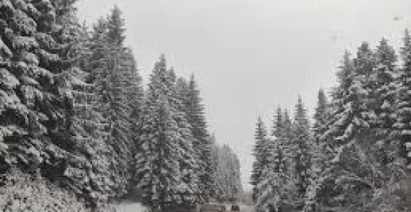 Evo kada počinje zimsko godišnje doba