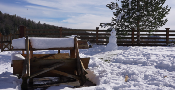 Počinje zima: Danas je najkraći dan u godini
