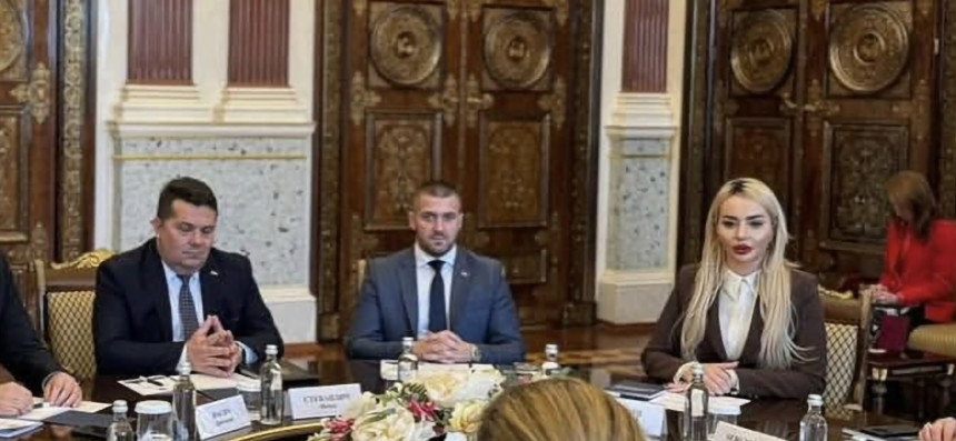 Trninić (US) završio isti fakultet kao i Nikolina Šljivić