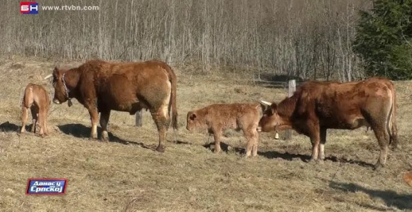 Ministarstvo nakon potvrde antraksa: Ozbiljna situacija