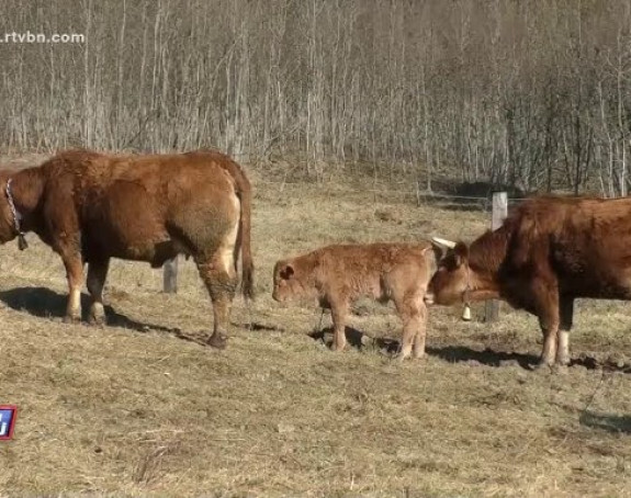 Ministarstvo nakon potvrde antraksa: Ozbiljna situacija