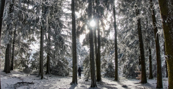 Ekstremne hladnoće u Evropi: Do minus 40 stepeni