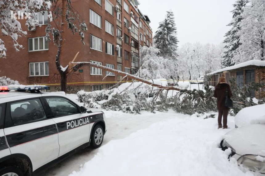 Preminula žena na koju je jutros palo stablo na Grbavici