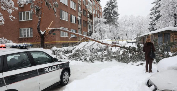 Preminula žena na koju je jutros palo stablo na Grbavici