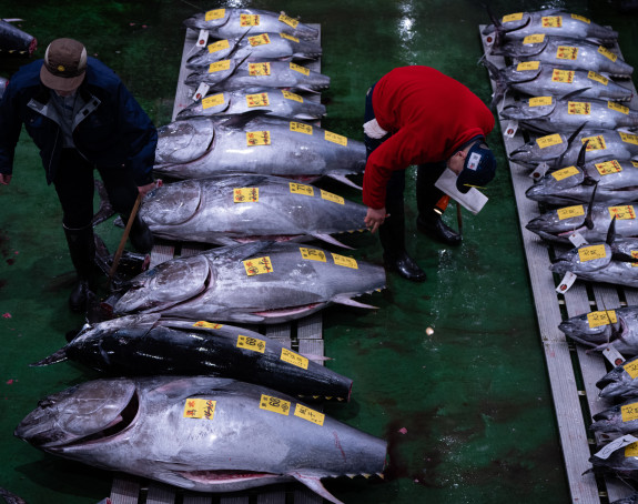 Restoran platio rekordnih 2,7 miliona evra za tunu na aukciji