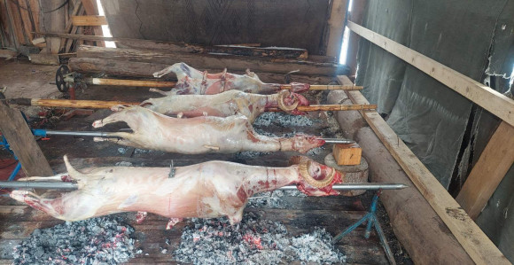 Nakon sječe badnjaka, domaćini peku pečenice