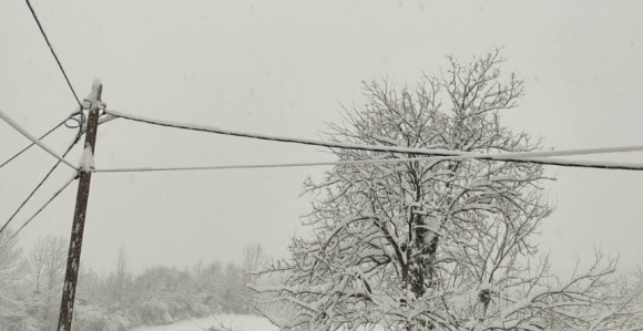 "Elektro-Bijeljina" zatajila: Elektro-mreža popustila pod prvim jačim snijegom