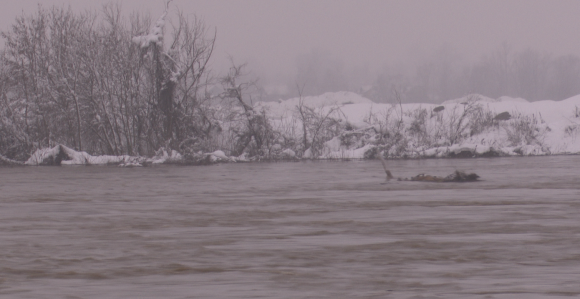 Drina u blagom opadanju, vanredna situacija na snazi