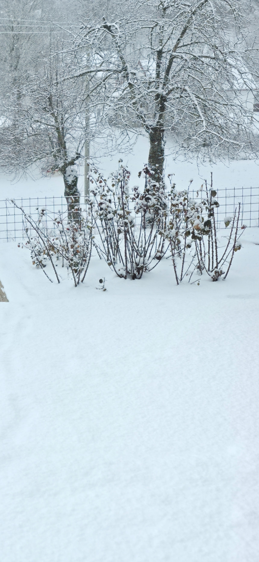 Сутра снијег широм БиХ, на истоку до 15 центиметара