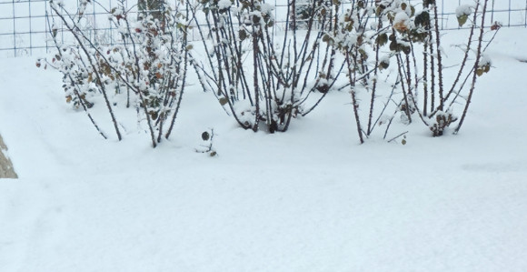 Sutra snijeg širom BiH, na istoku do 15 centimetara