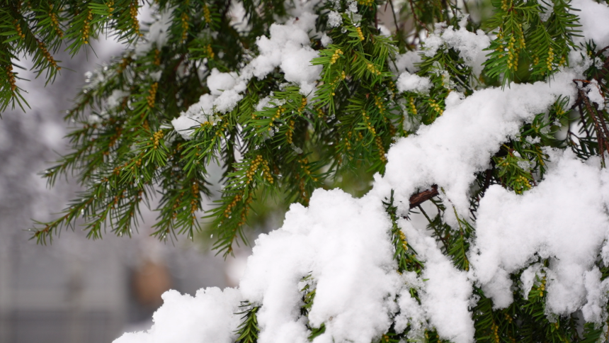 Danas oblačno sa padavinama, češće u drugom dijelu dana