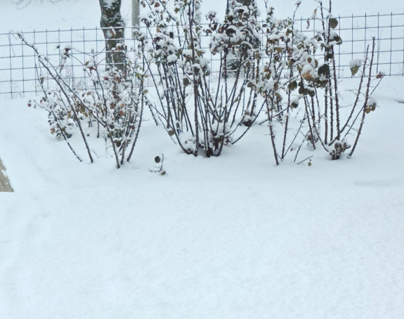 U BiH čak do -24 stepena, pa dolazi nagla promjena