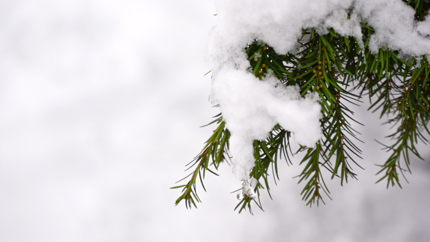 У Српској наранџасти метеоаларм због ниске температуре