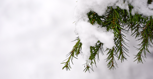 U Srpskoj narandžasti meteoalarm zbog niske temperature