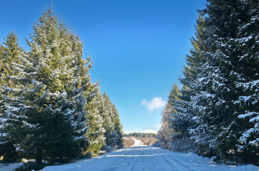 Danas uglavnom suvo vrijeme uz porast temperature