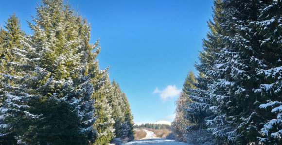 Данас углавном суво вријеме уз пораст температуре
