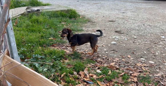 Danas pretežno oblačno i hladno vrijeme