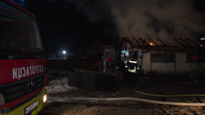 Bijeljina: Požar u Gojsovcu na farmi svinja (VIDEO)