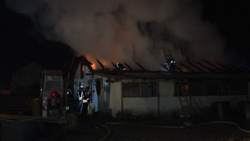 Bijeljina: Požar na farmi svinja ugašen, krov uništen