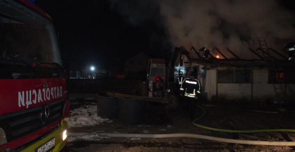 Bijeljina: Požar u Gojsovcu na farmi svinja (VIDEO)
