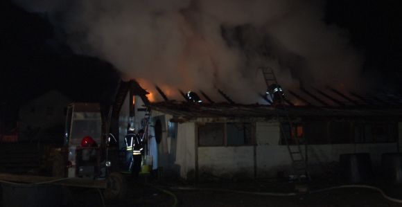 Бијељина: Пожар на фарми свиња угашен, кров уништен