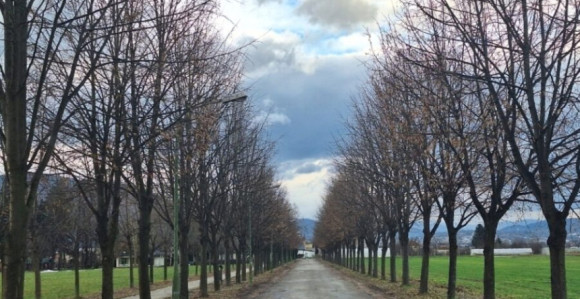 Данас вјетровито и топло вријеме, на југу обилне падавине