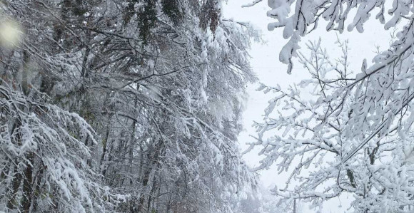 Uglavnom suvo i oblačno vrijeme uz slabije padavine