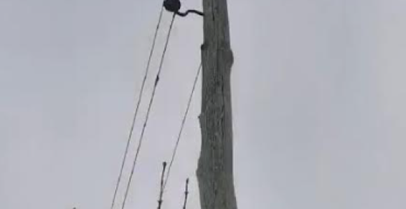 Katastrofalno stanje na elektromreži na području Laktaša