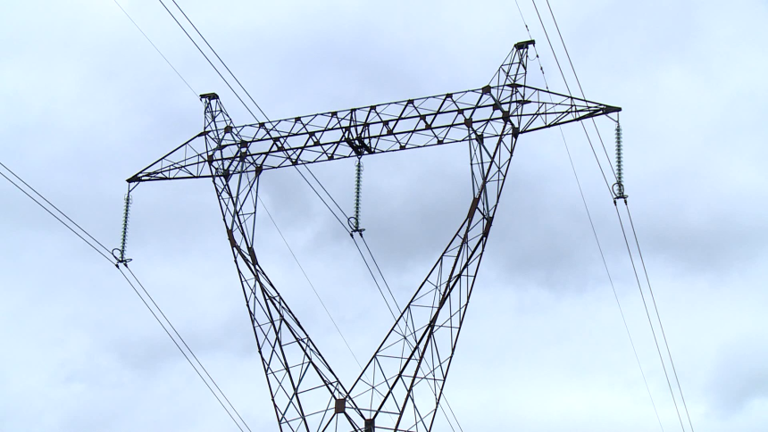 Dronom prevozio prasiće, jedno zapelo o dalekovod (VIDEO)