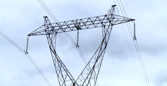 Dronom prevozio prasiće, jedno zapelo o dalekovod (VIDEO)