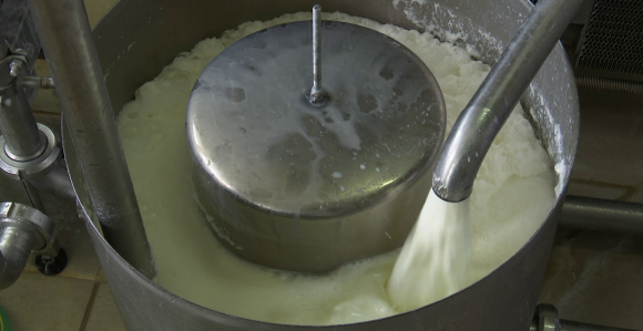 Sve slabiji otkup mlijeka u BiH, farme se zatvaraju