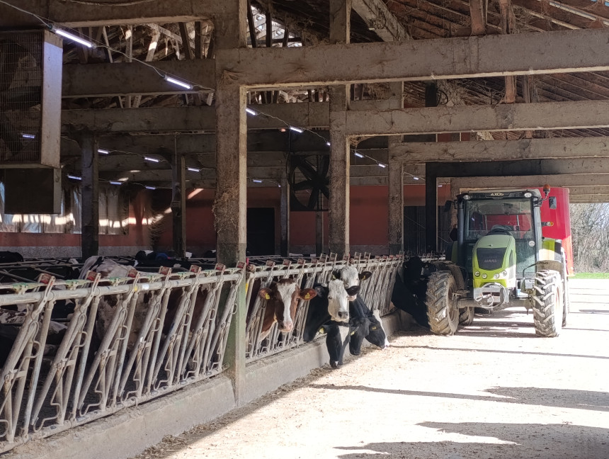 ​Гасе се фарме, подстицаји касне, а власт не види разлог за узбуну