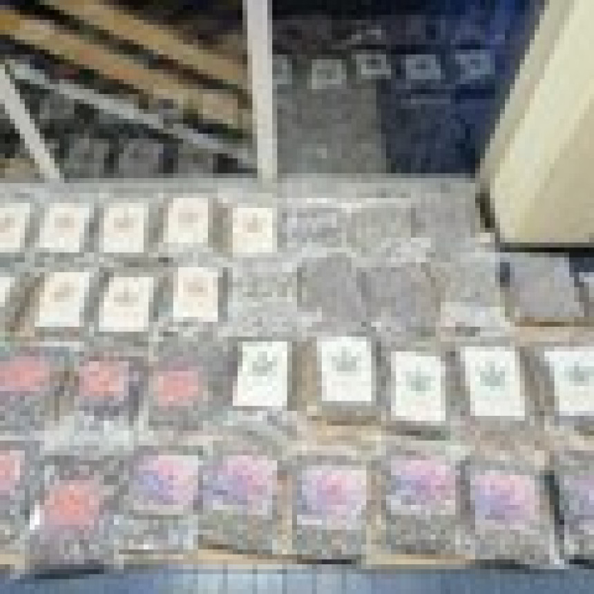 U Novom Sadu zaplijenjeno 50 kg marihuane